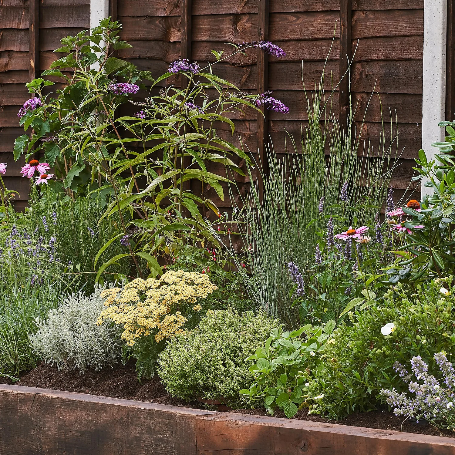 Sensory Border Collection - 8m X 60cm