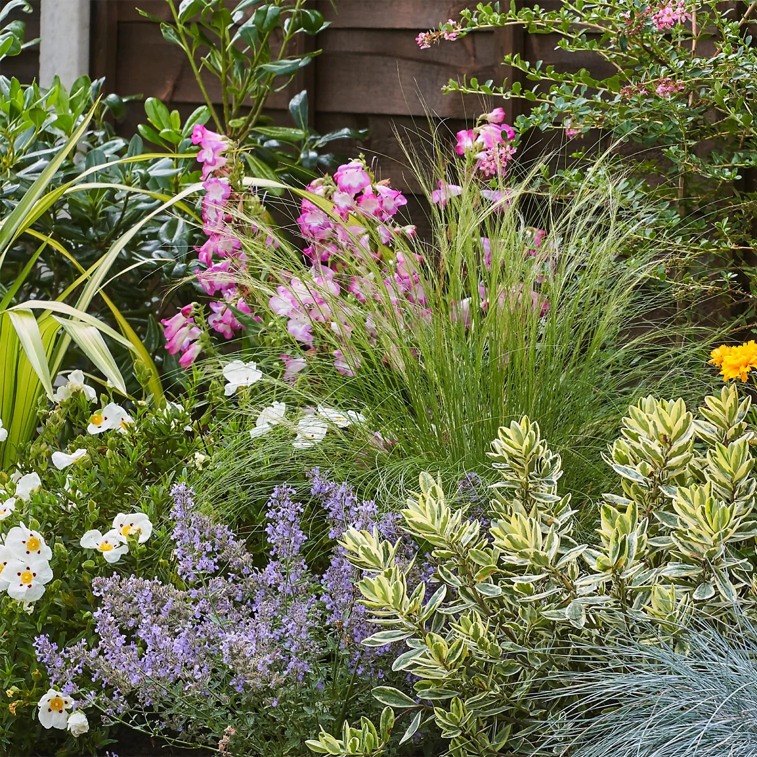 Sunny Border Collection - 10m X 90cm - Image 5