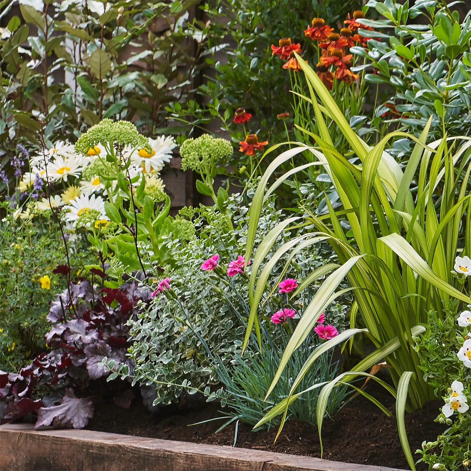 Sunny Border Collection - 10m X 90cm - Image 4