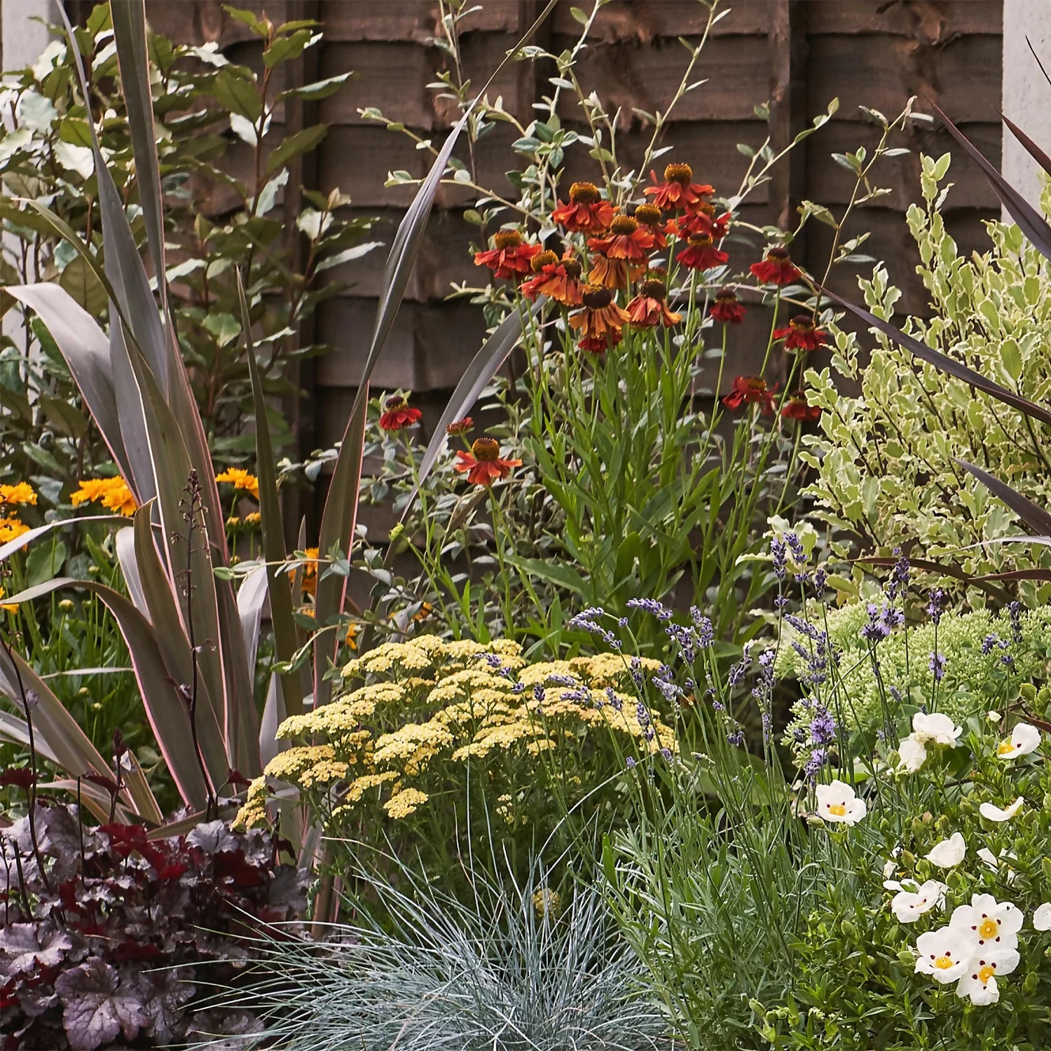 Mediterranean Border Collection - 6m X 60cm - Image 4