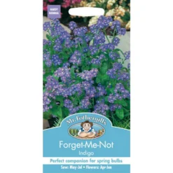 Mr. Fothergill's Forget Me Not Indigo (Myosotis Sylvatica) Seeds