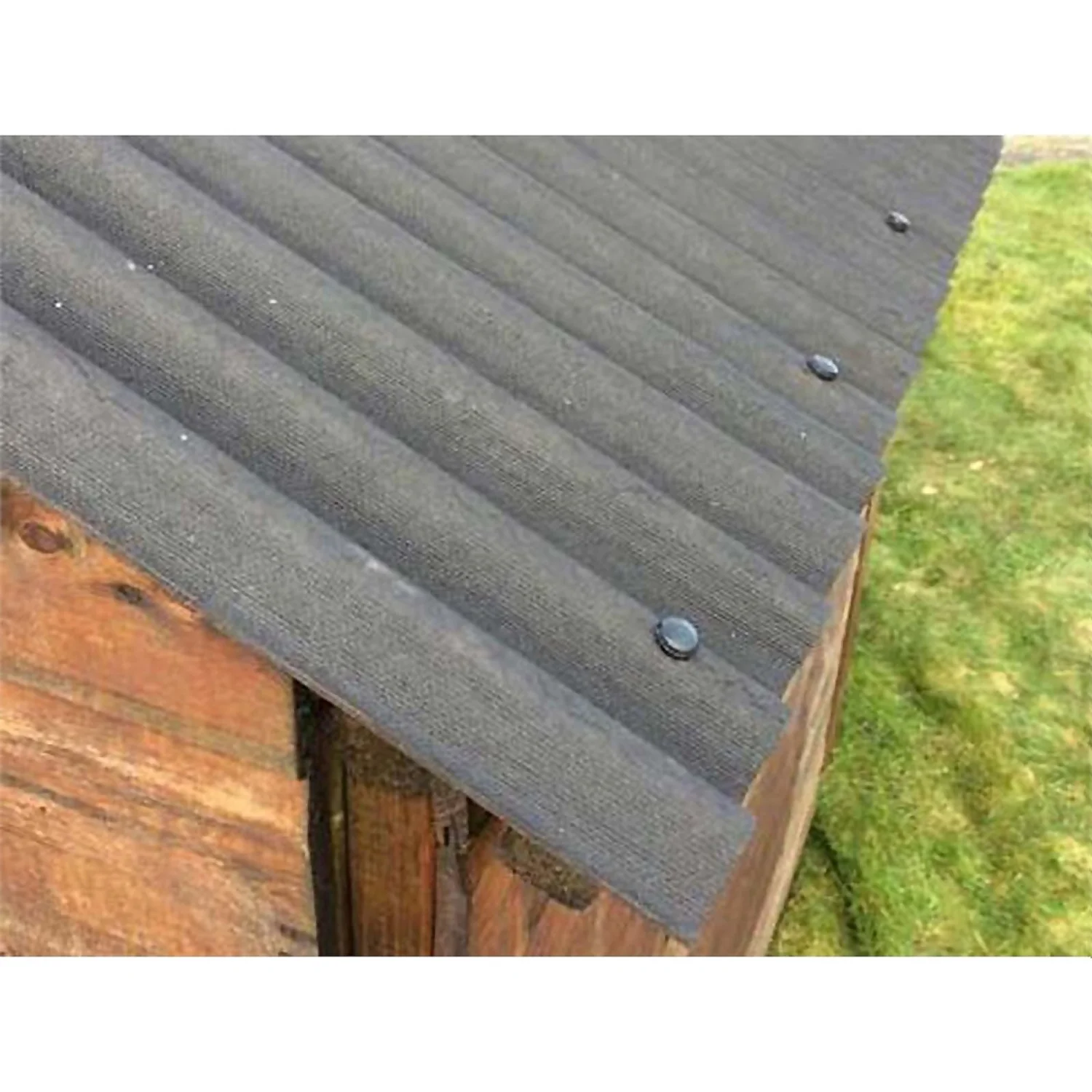 Watershed Roof Kit For 6x10ft Apex Shed - Image 3