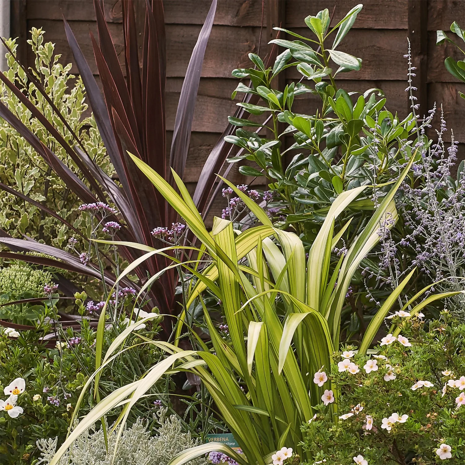 Mediterranean Border 10m X 120cm - Image 5