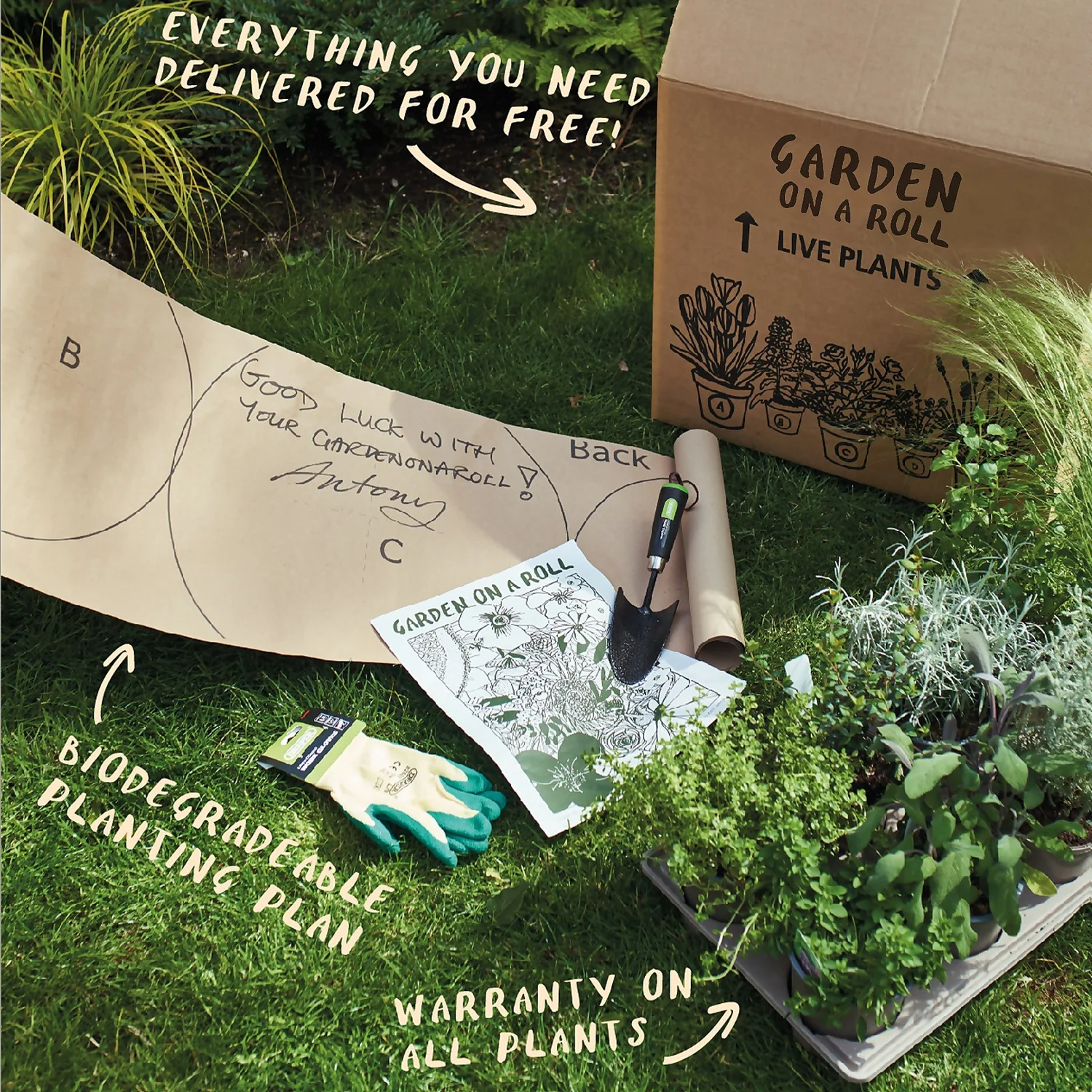 Sunny Border 3m X 120cm - Image 7