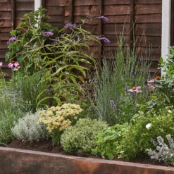 Sensory Themed Border 6m X 120cm