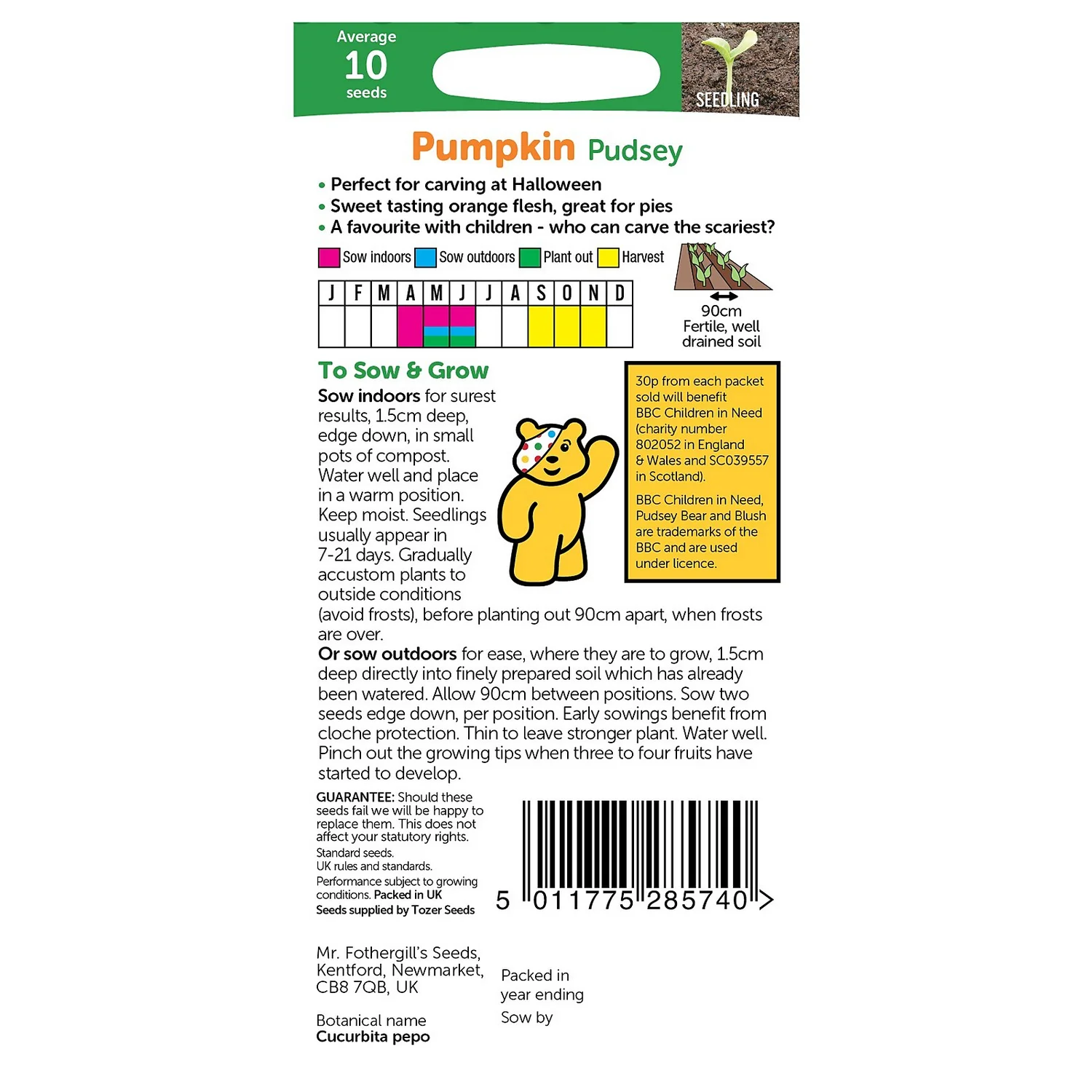 MRF CIN Pumpkin Pudsey Packet - Image 2