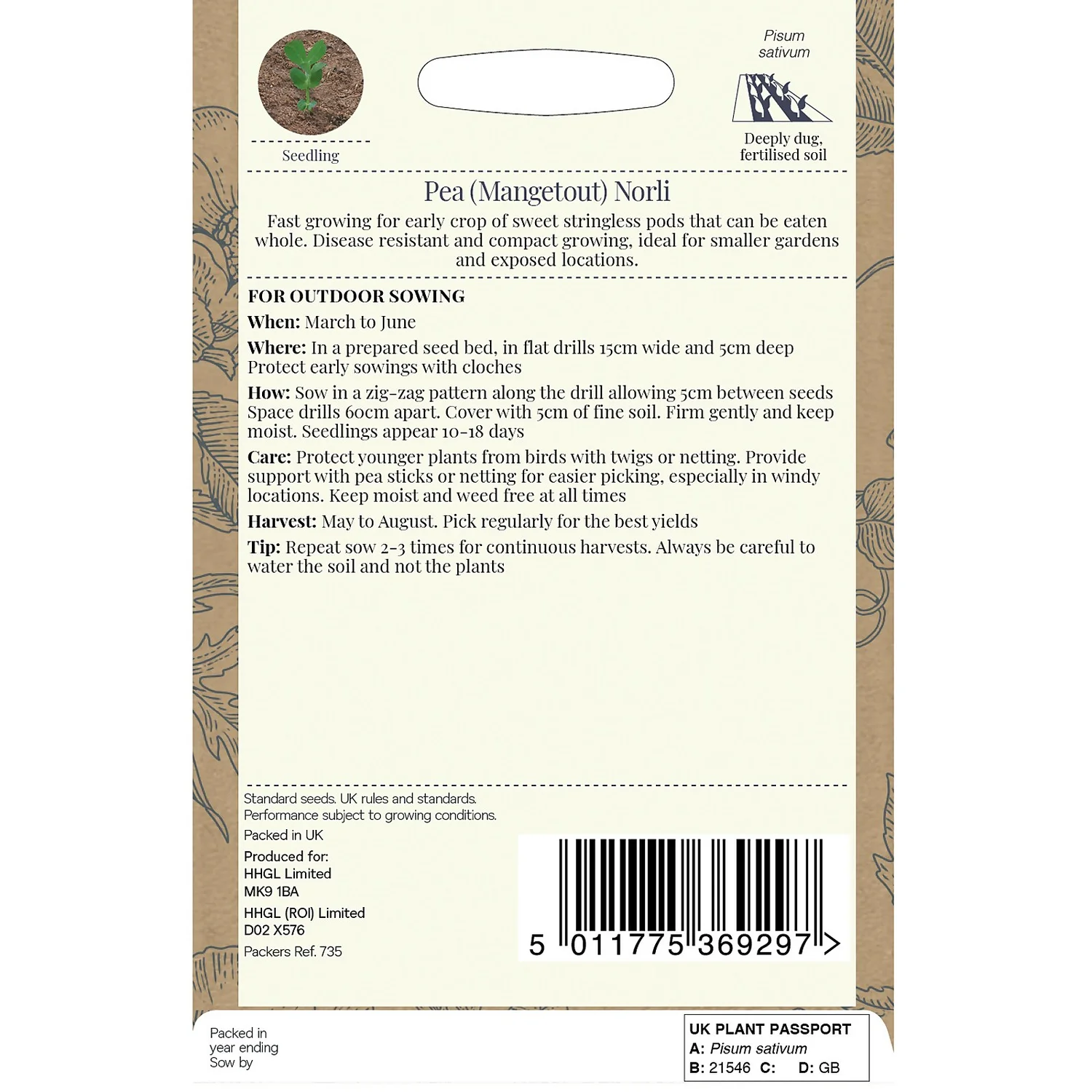 Country Living Pea Mangetout Norli Seeds - Image 2