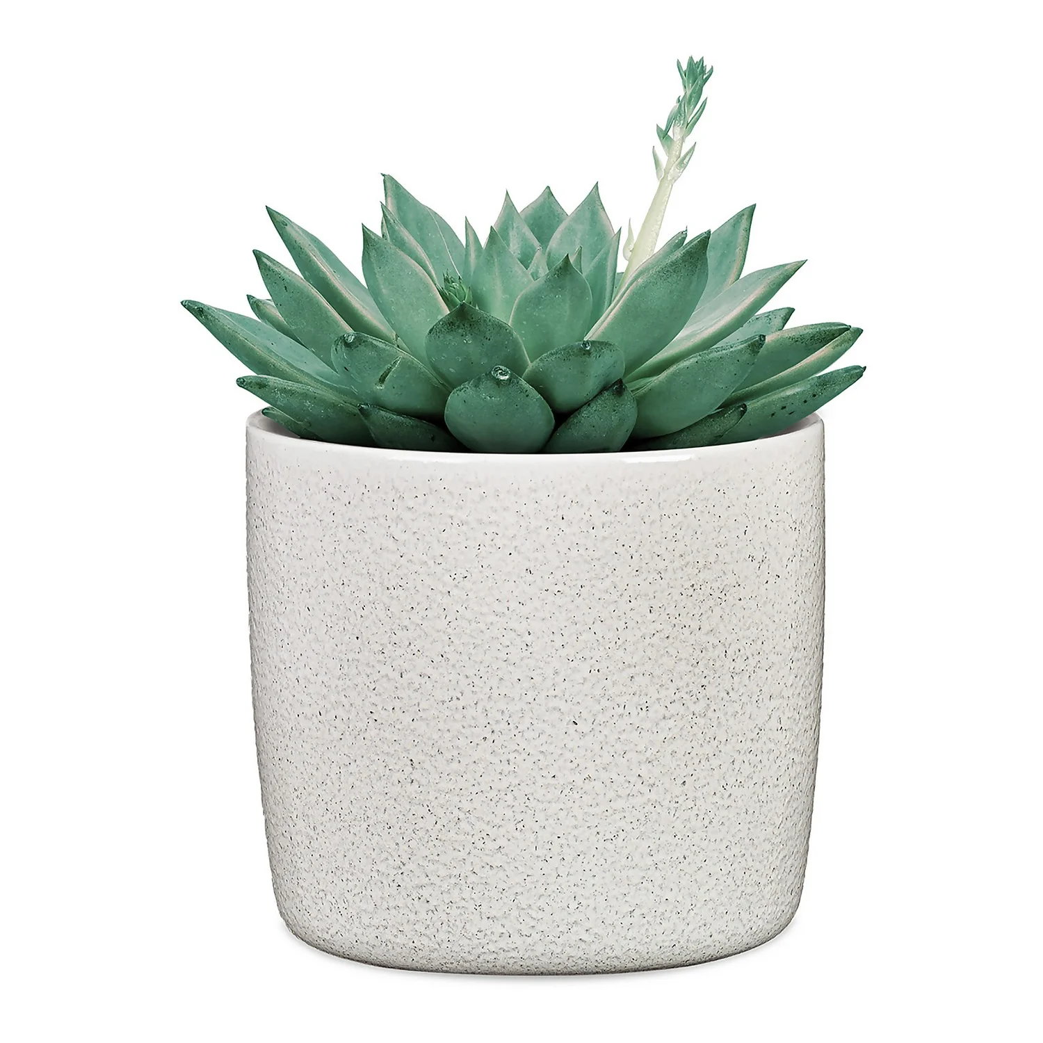 Perla White Plant Pot - 21cm - Image 2