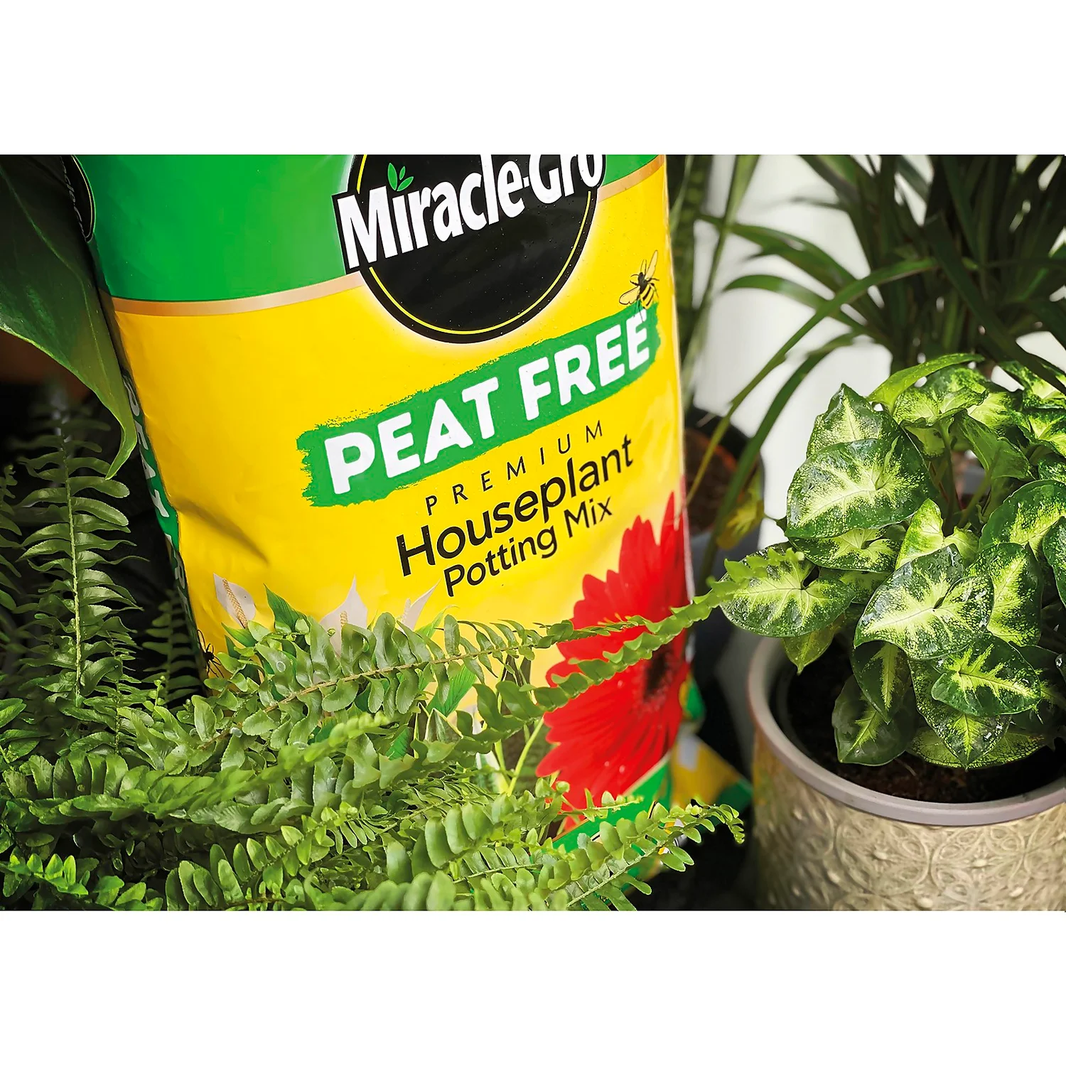 Miracle-Gro Premium Houseplant Potting Mix 10L - Image 2
